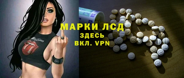 СК Алексин