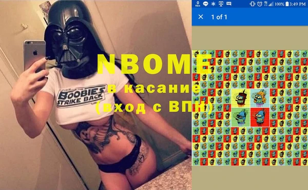 шишки Медногорск