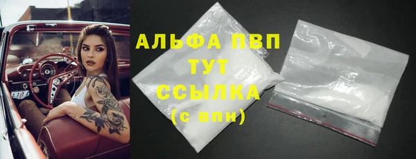 СК Алексин