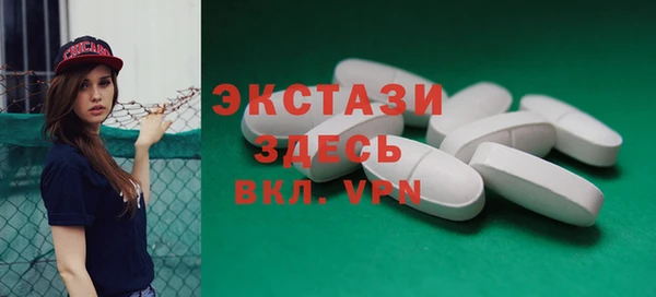 СК Алексин