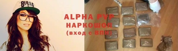 СК Алексин