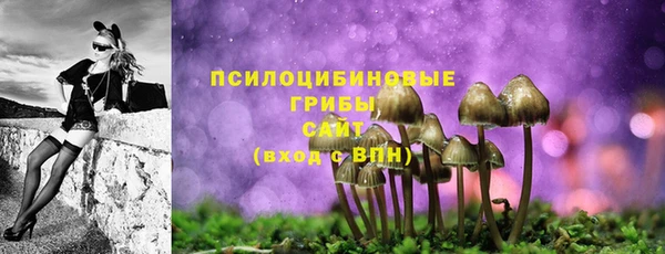СК Алексин