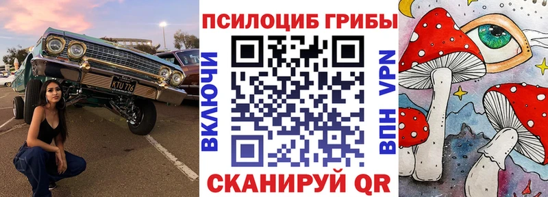 Псилоцибиновые грибы Magic Shrooms  как найти   Нижний Тагил 