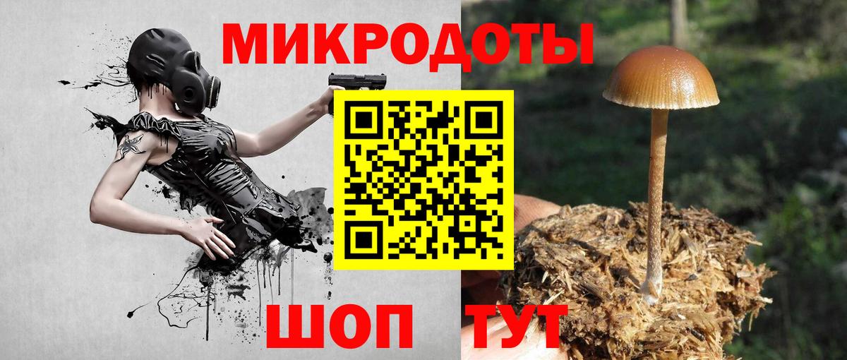 Псилоцибиновые грибы ЛСД Нижний Тагил