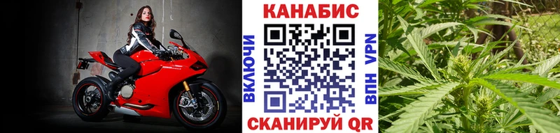 Марихуана сатива  кракен вход  Нижний Тагил  наркотики 